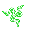 Razer DeathAdder V3 Pro logo
